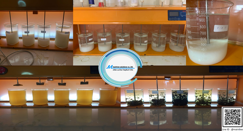 Chemical For Water & Wastewater Treatment